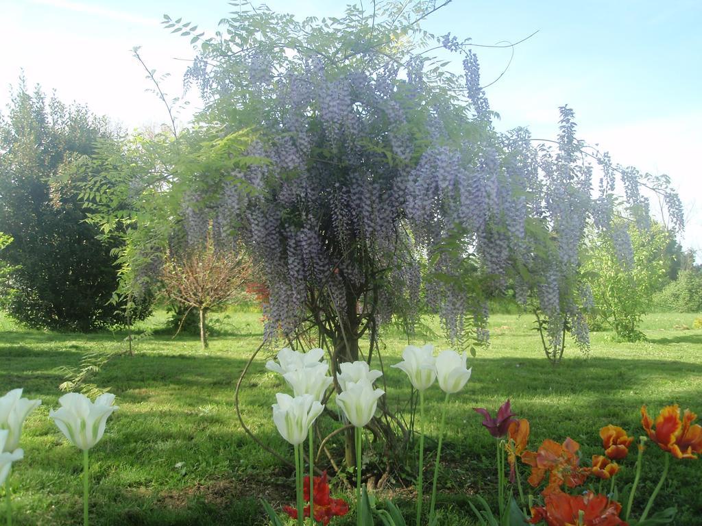 Domaine Mongiron Hotel Nerigean Bagian luar foto