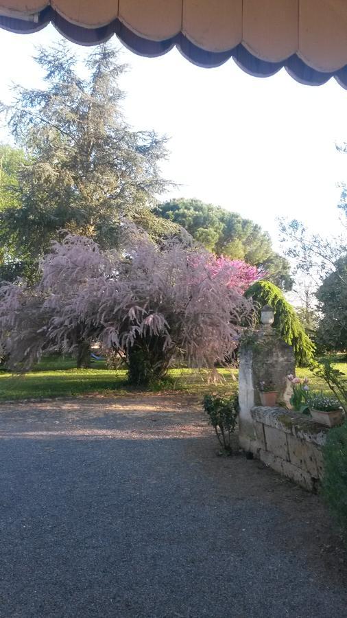 Domaine Mongiron Hotel Nerigean Bagian luar foto