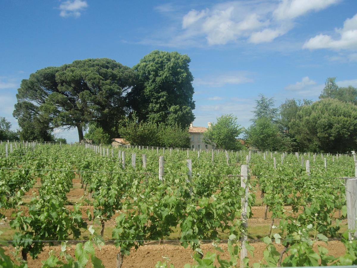 Domaine Mongiron Hotel Nerigean Bagian luar foto