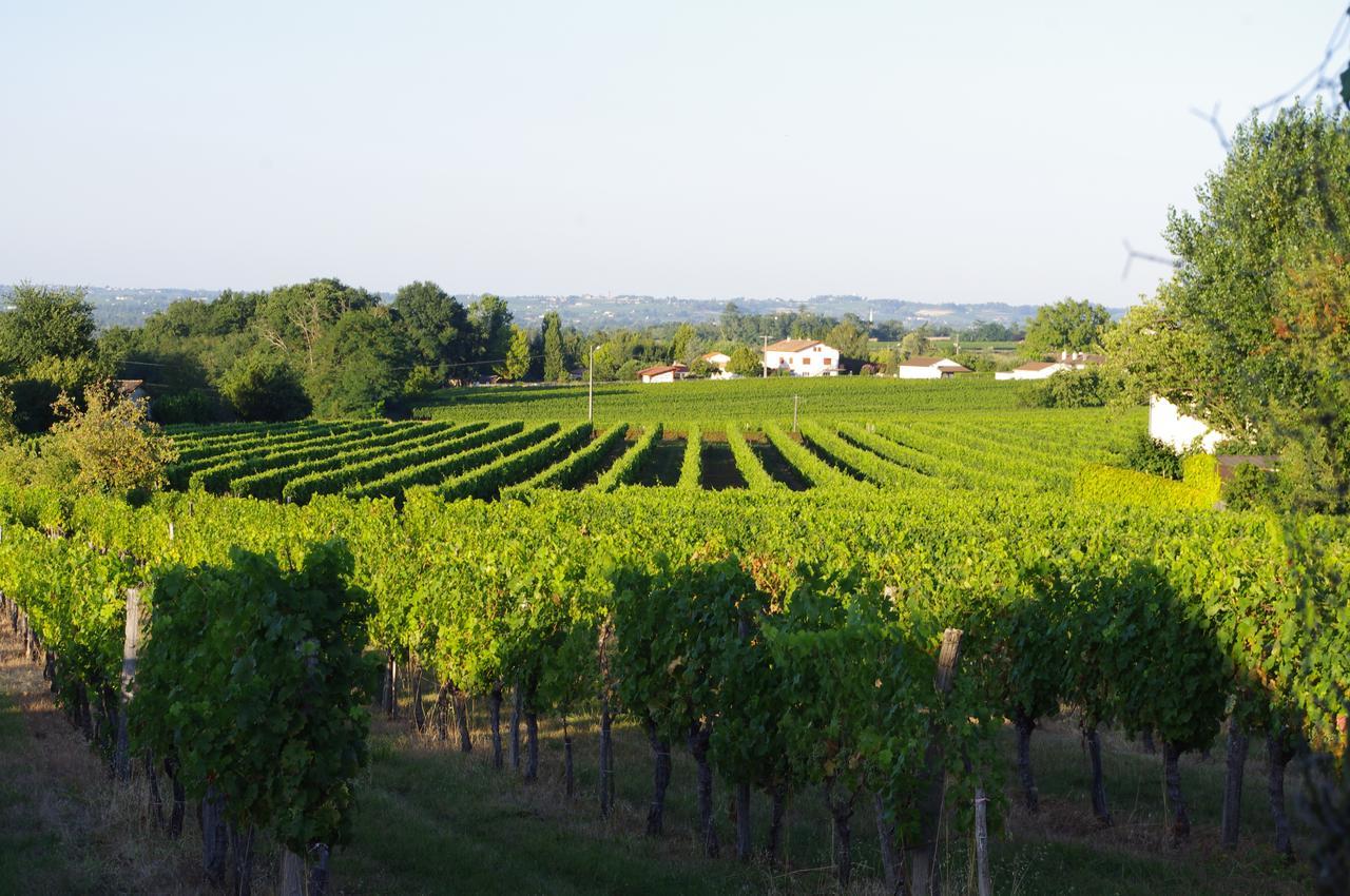 Domaine Mongiron Hotel Nerigean Bagian luar foto
